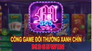 Đôi nét khái quát về sân chơi m365win