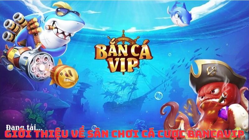 Giới thiệu về sân chơi cá cược bancavip