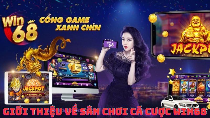 Giới Thiệu Về Sân Chơi Cá Cược Win68