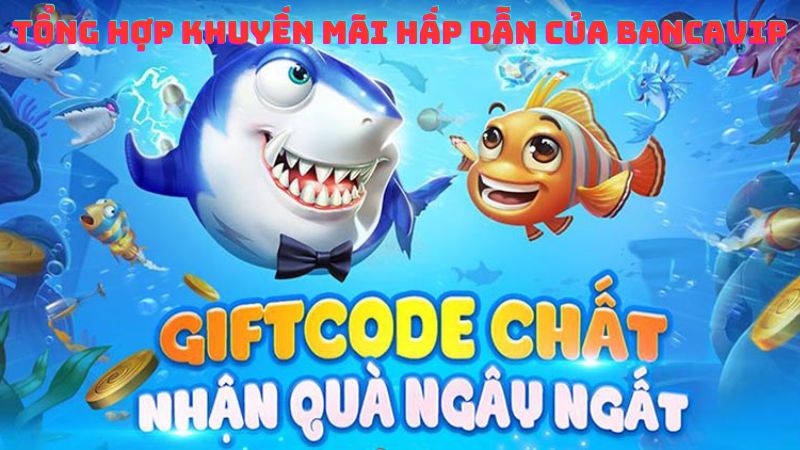 Tổng hợp những khuyến mãi hấp dẫn của bancavip